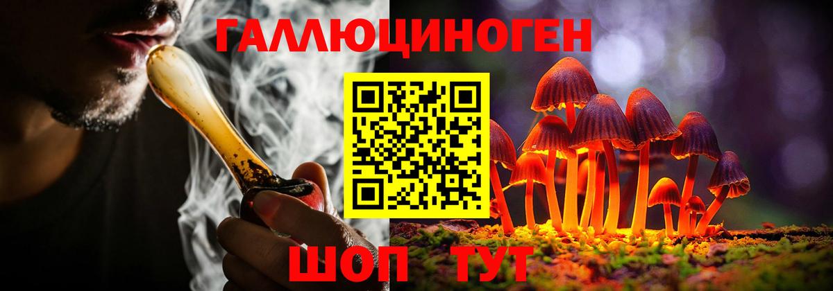 где продают   Вход с VPN  Люберцы  Галлюциногенные грибы Magic Shrooms  Псилоцибиновые грибы ЛСД 